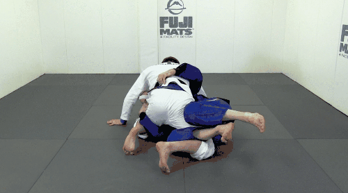 scoop_half_butterfly_part_1